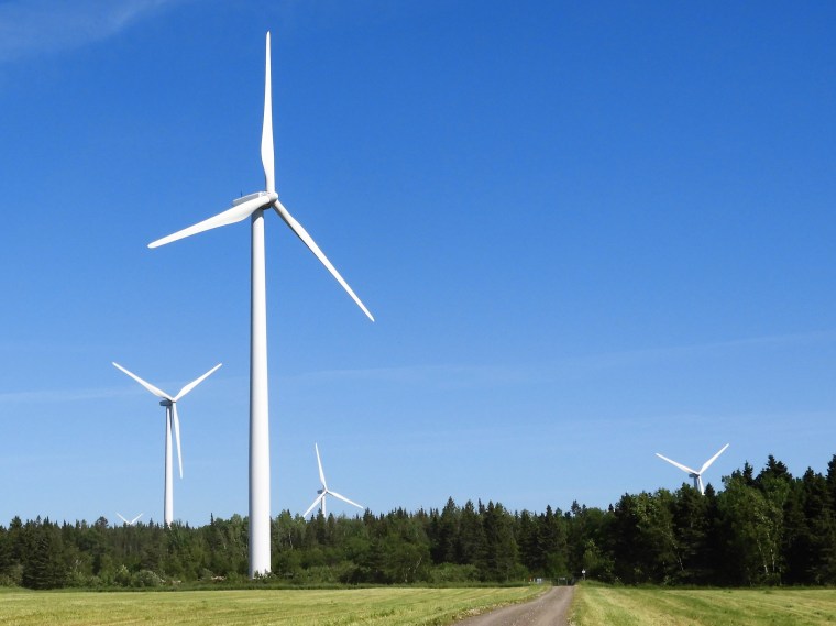 Les éoliennes et les oiseaux. Un survol des résultats des suivis d’exploitation de parcs&nbsp;éoliens