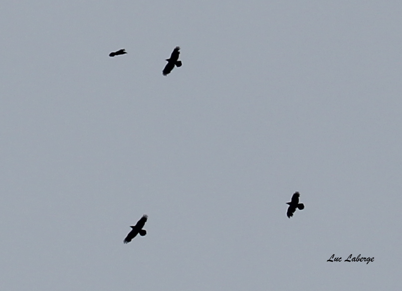 GRCO_SAINTESOPHIE_7243-003