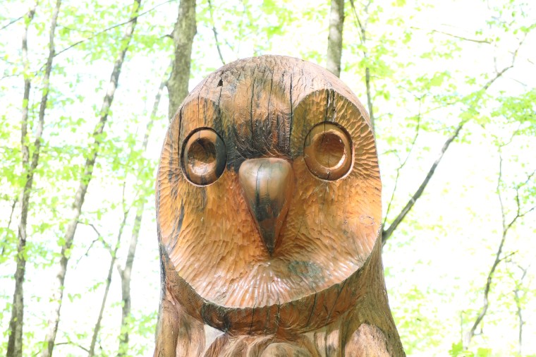Le Centre d&rsquo;interprétation de la nature de Boisbriand: Quand nature rime avec&nbsp;culture.
